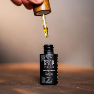 crop england bottle of cbd oil with dropper